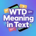 WTD Meaning in Text